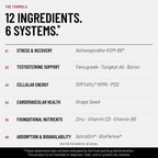 RBRN Vitality Complex formula breakdown: 12 ingredients across six systems. Stress & Recovery: KSM-66 ashwagandha. Testosterone Support: fenugreek, tongkat ali and boron. Cellular Energy: SIRTality NMN and PQQ. Cardiovascular Health: grape seed. Foundational Nutrients: zinc, vitamin D3 and vitamin B6. Absorption & Bioavailability: AstraGin and BioPerine.
